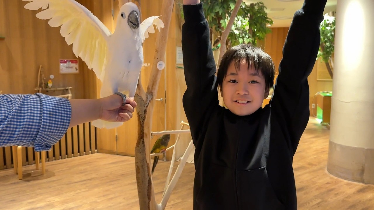 レオくんがおでかけ!Moff animal cafe! Part189 トイキッズ