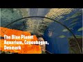 The Blue Planet Aquarium, Copenhagen, Denmark