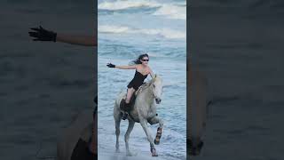 My state of mind is my best feng shui #horse #horsevideo #horseriding