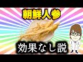 【悲報】朝鮮人参の真実…
