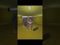 OIIA CAT Metal Pipe 🐈️ #shorts