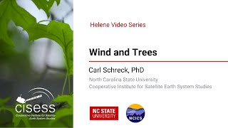 Hurricane Helene Series With Dr. Carl Schreck Wind And Trees