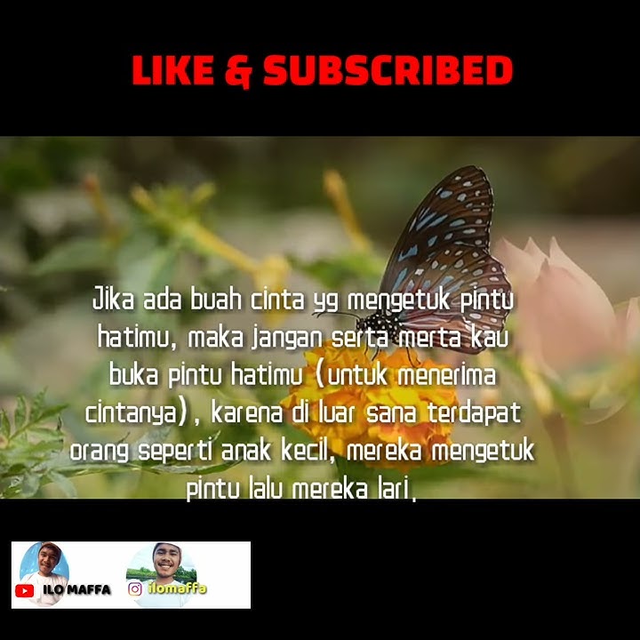 BUKA HATI MU STORY WA 30 DETIK (ILO MAFFA)