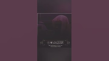 تلاوة مرئية خاشعة ومؤثرة للشيخ سعود الشريم حالات واتس اب دينية قصيرة مؤثرة قرآن كريم انستا