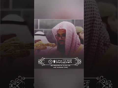 تلاوة مرئية خاشعة ومؤثرة للشيخ سعود الشريم حالات واتس اب دينية قصيرة مؤثرة قرآن كريم انستا