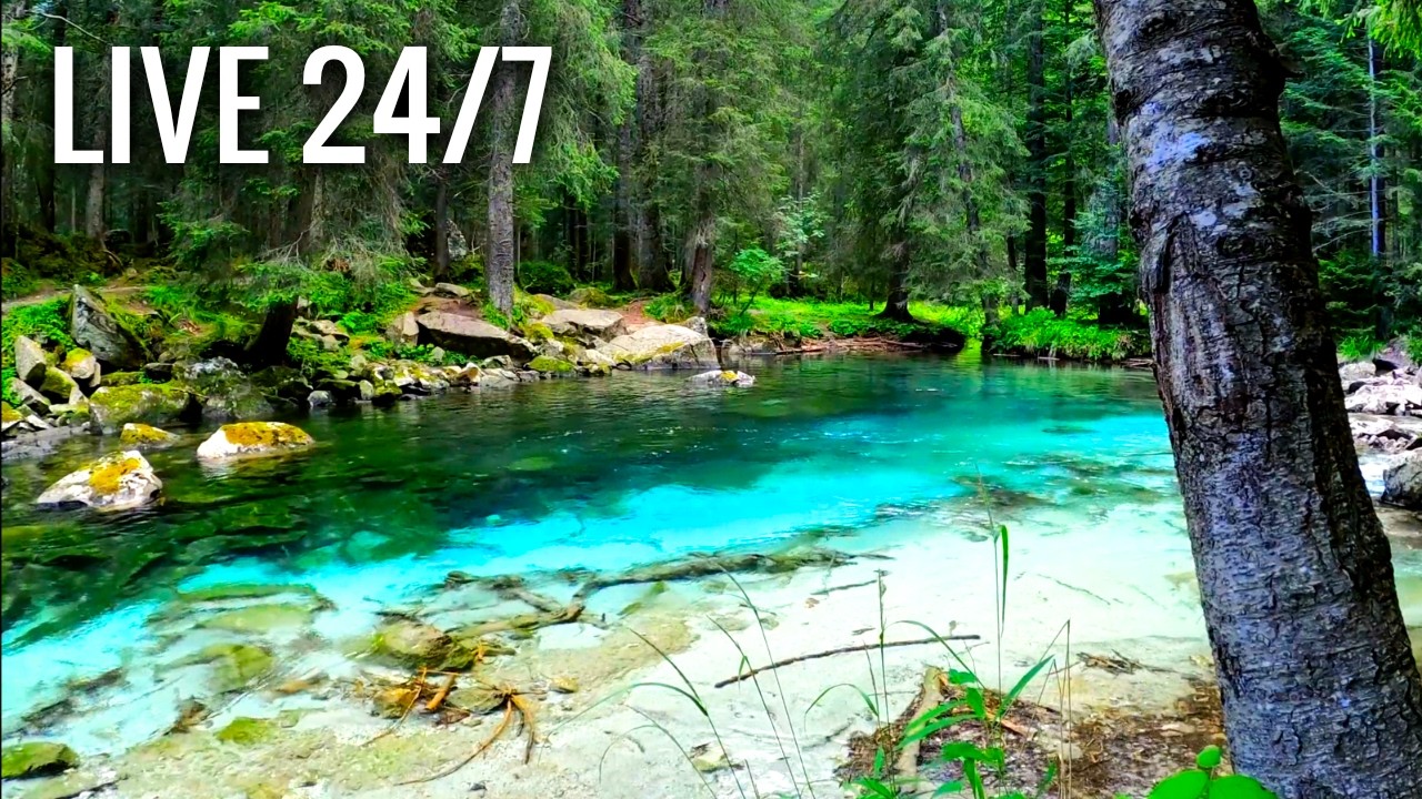 24/7 Relaxing Piano Music for Stress Relief & Deep Focus 🎹 Peaceful ...