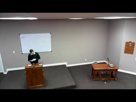 Video preview
