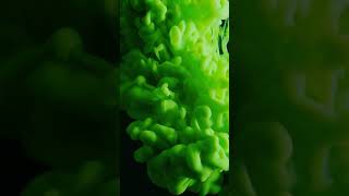 Green Light Smoke Effect