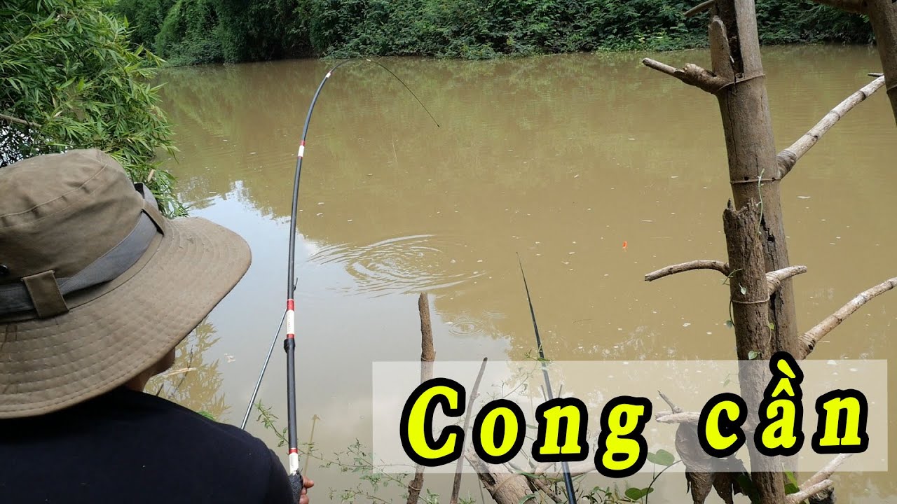 Toàn Rô To - Bụi Tre Thần Thánh Cứ Câu Là Có Cá ✅