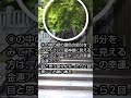 龍神様にお願い事を✨幸運、金運✨