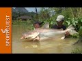 World Record Multi-species Fishery Gillham's Resort, Thailand 🎣