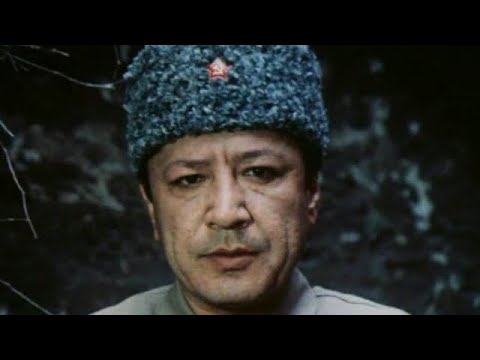 ПОСЛЕДНЯЯ ИНСПЕКЦИЯ (две серии) детектив СССР