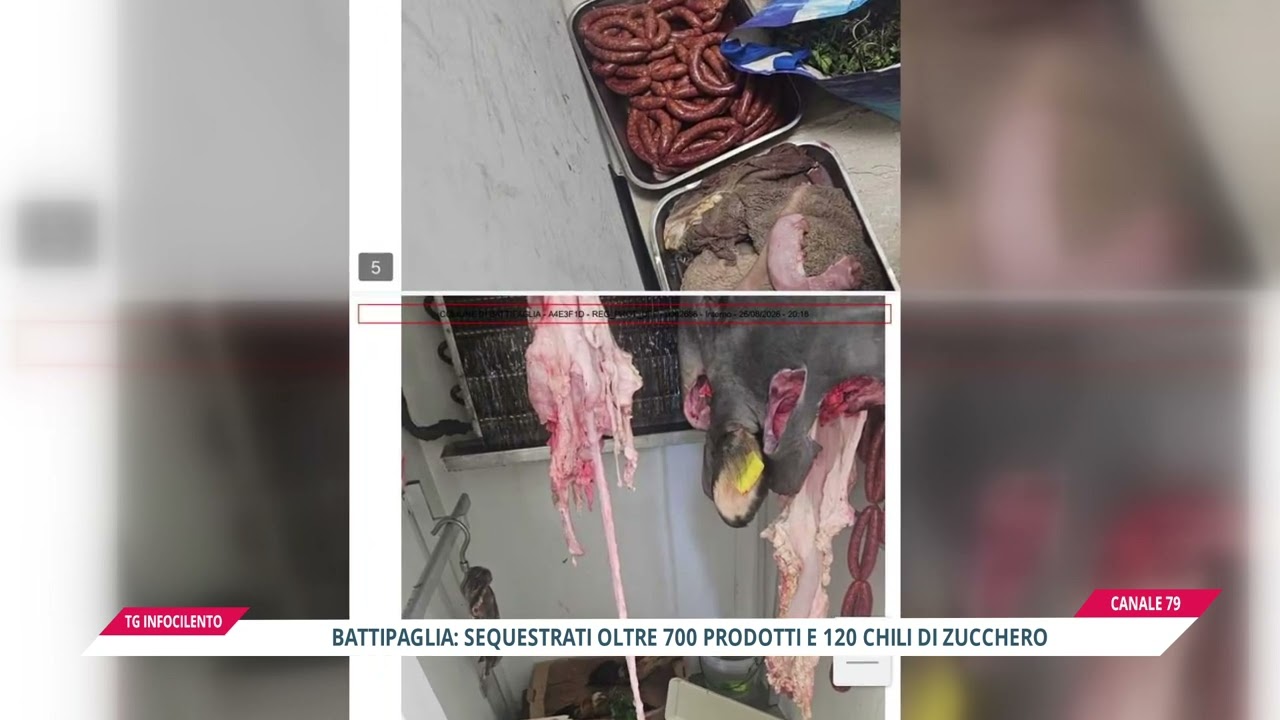 Battipaglia, blitz igienico-sanitario: maxi sequestro di carni e 700 confezioni irregolari