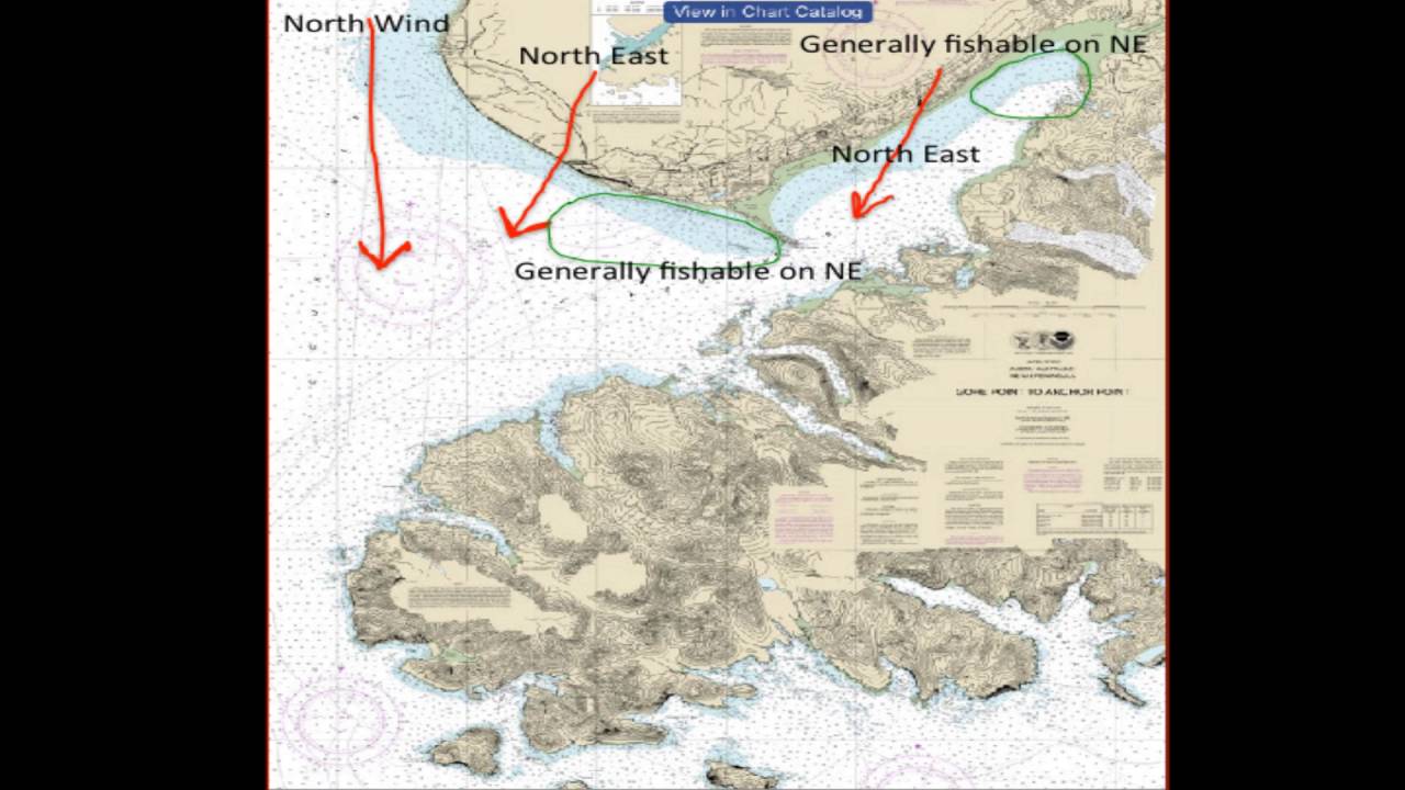 DIY Halibut Fishing in Kachemak Bay By Bayes Boat Rental YouTube