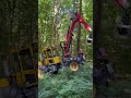 Welte W130 Forstmaschine #forest #forestrymachinery #forstmaschine #forstwirtschaft #wood