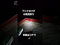 エアガンで蜂の巣駆除