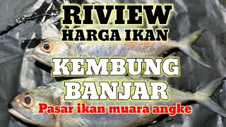 Riview Harga Ikan Kembung di Muara Angke