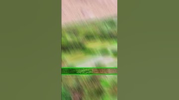 حالات واتساب دينية.. ( آيات من الذكر الحكيم)