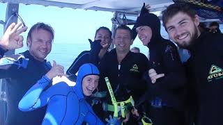 Day Trip to the Great Barrier Reef