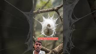 pul ka abishkar aur pulh bhi samdar 🤣😁💀😭🤔😱🤔😱🤔😝🚂😎🫷❣️😂👍