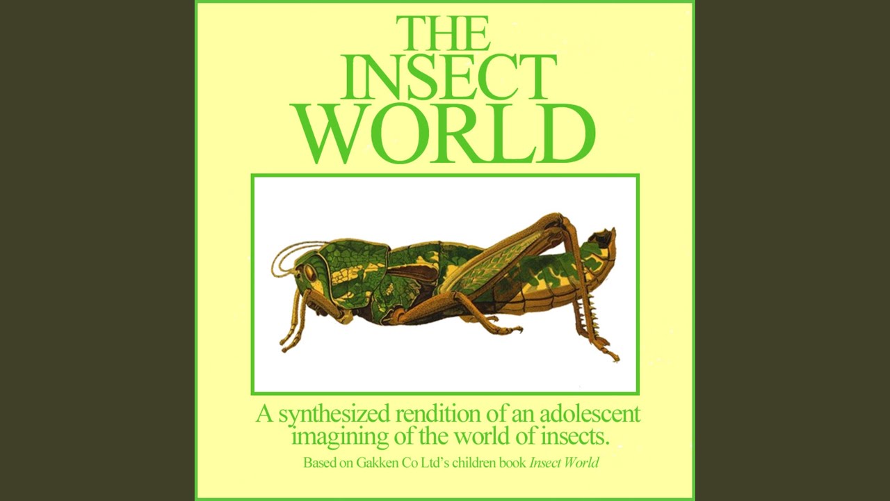 Watch Ants on YouTube Watch Ants on YouTube