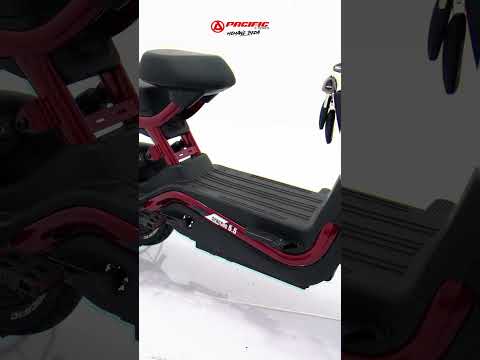 PACIFIC E-BIKE SYNCROS 5.5