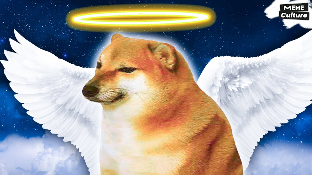 Cheems passed away. Legendary meme dog - YouTube