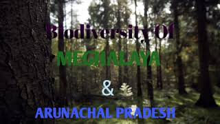 Art integrated project biology class 11 and 12