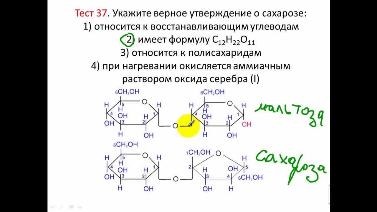 Тест по жирам и углеводам 10 класс. Тест по теме углеводы 10 класс химия с ответами. контрольная работа химия 10 класс углеводы. тест по химии углеводы. углеводы химия тест.