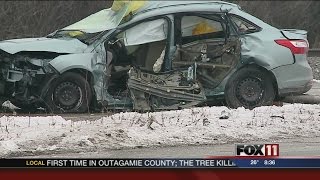 Woman, dog killed in crash on Hwy. 41