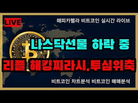 [실시간 라이브], 리플 해킹 찌라시,투심위축.. 나스닥 선물 하락 중 8/18 점심