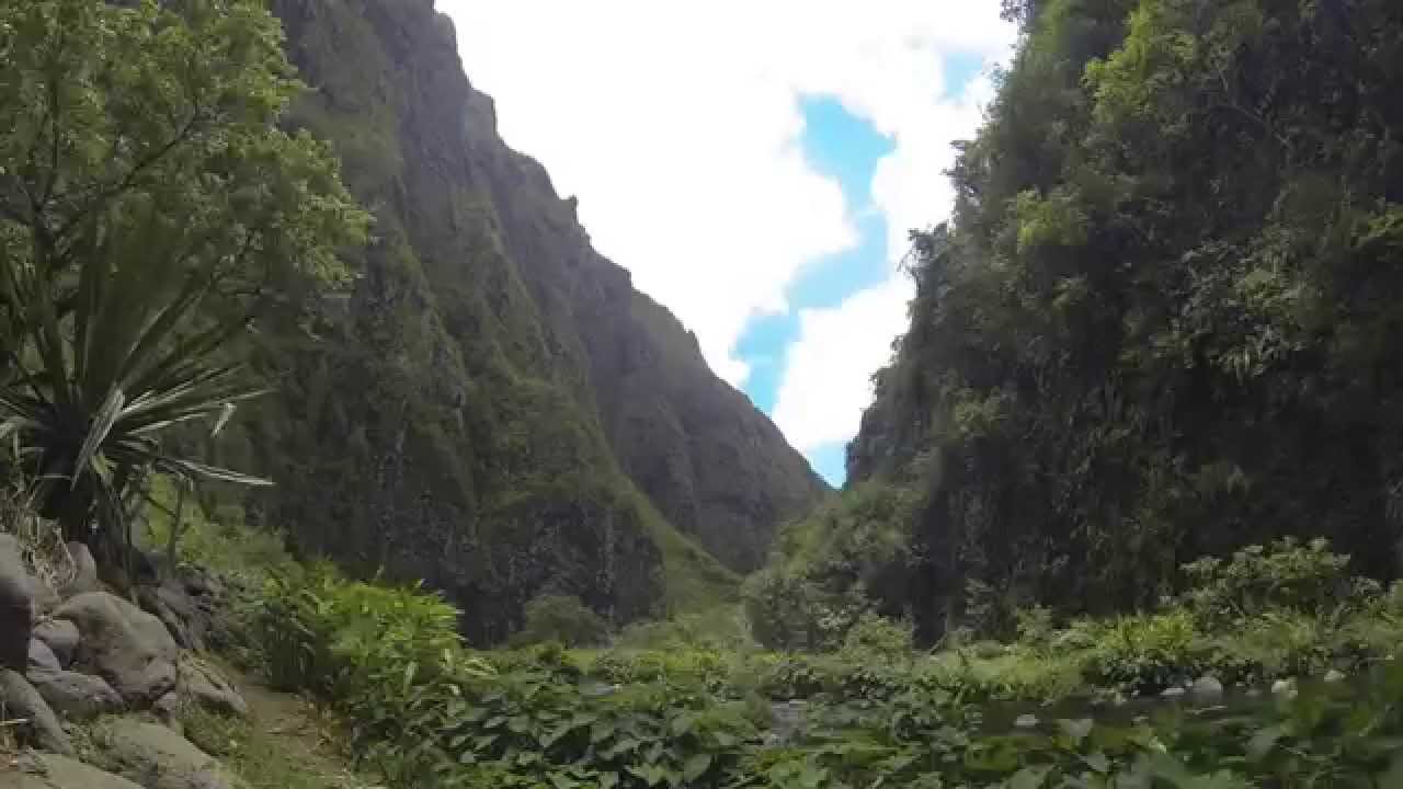 Compil Nature Réunion Island