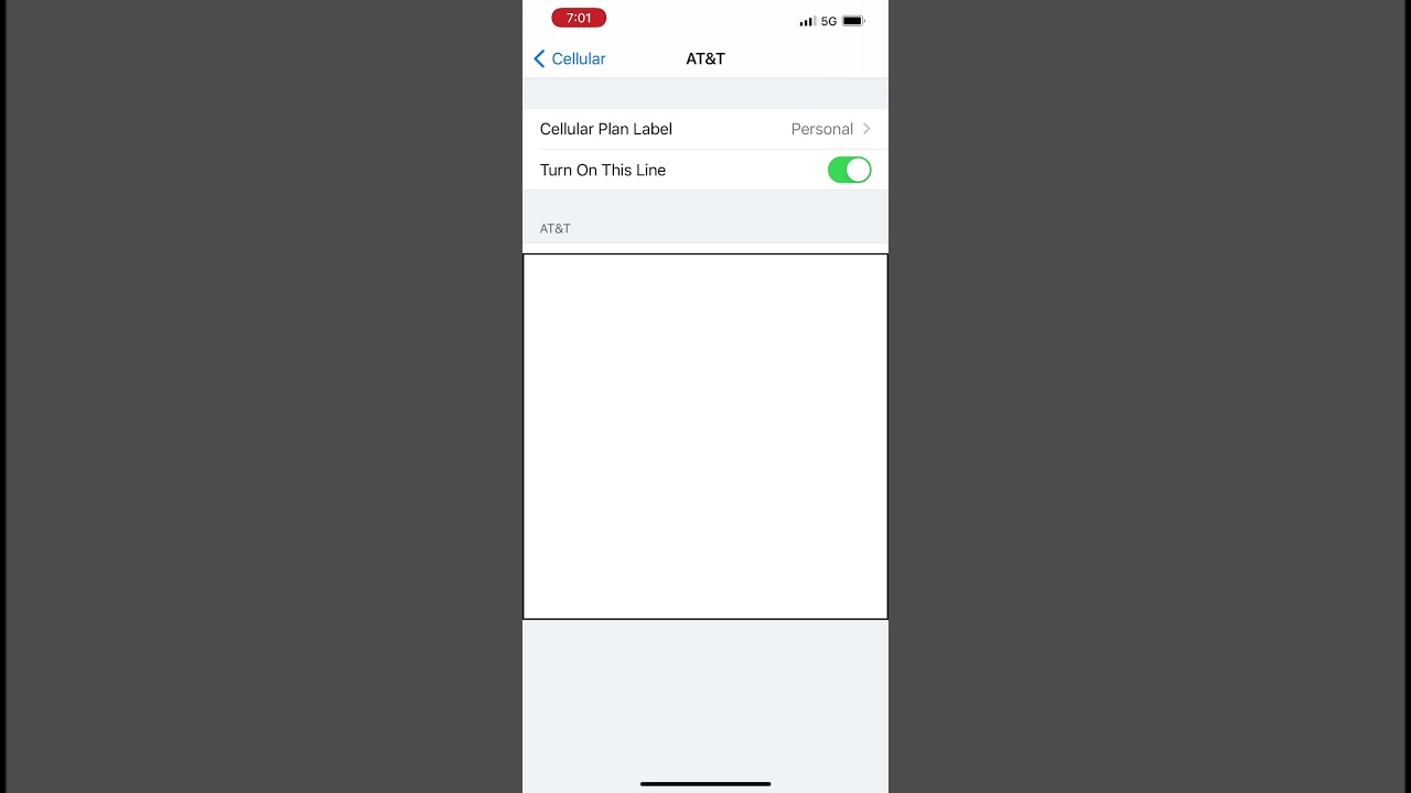 My iPhone 12 Pro Max Ep7: Dual SIM with Mint Mobile