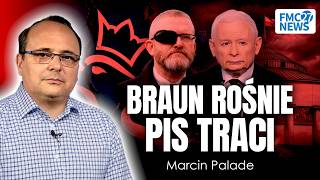 Braun I Konfederacja Wypychają Pis Z Prawej Strony? Palade Mocno
