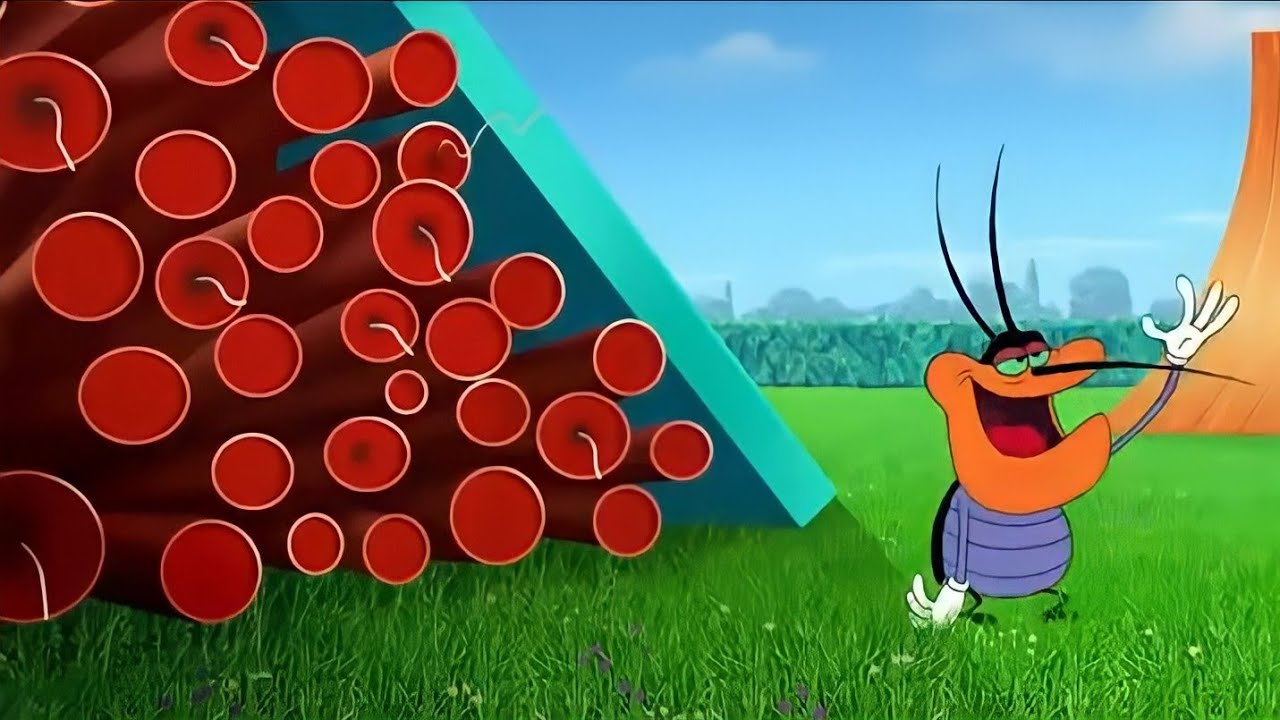 Hindi Oggy And The Cockroaches Sports Fans()Hindi Cartoon's For kids