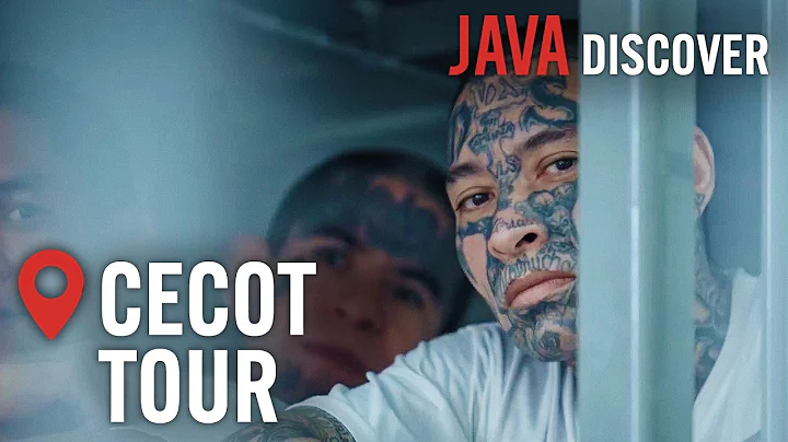 CECOT: The World’s Harshest Prison — At What Cost? | El Salvador Under Bukele | Documentary