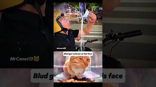 bro can't see the helmet 😹🤣#cat #react #funny #memes #explore #shorts