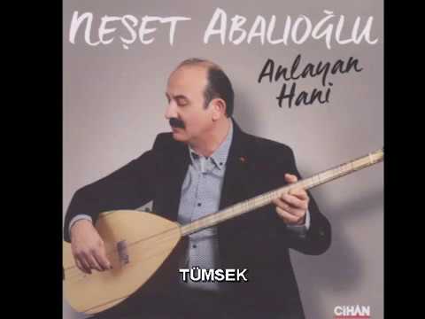 NEŞET ABALIOĞLU - TÜMSEK
