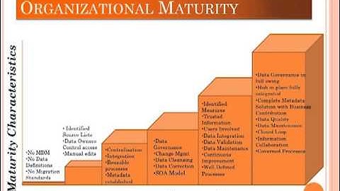 Master Data Management - Big M, Little m 