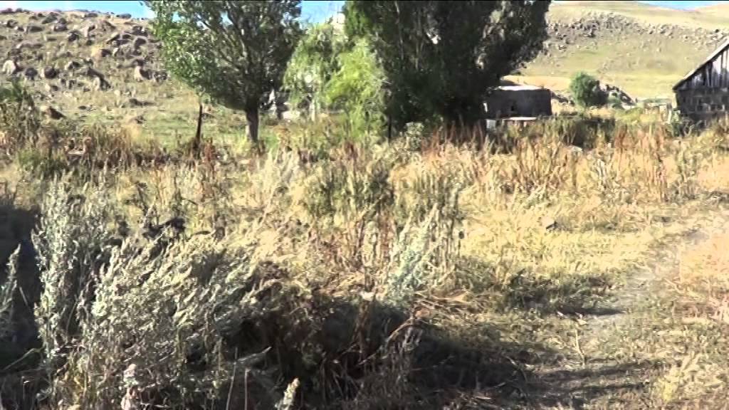 Село: Ени-ел