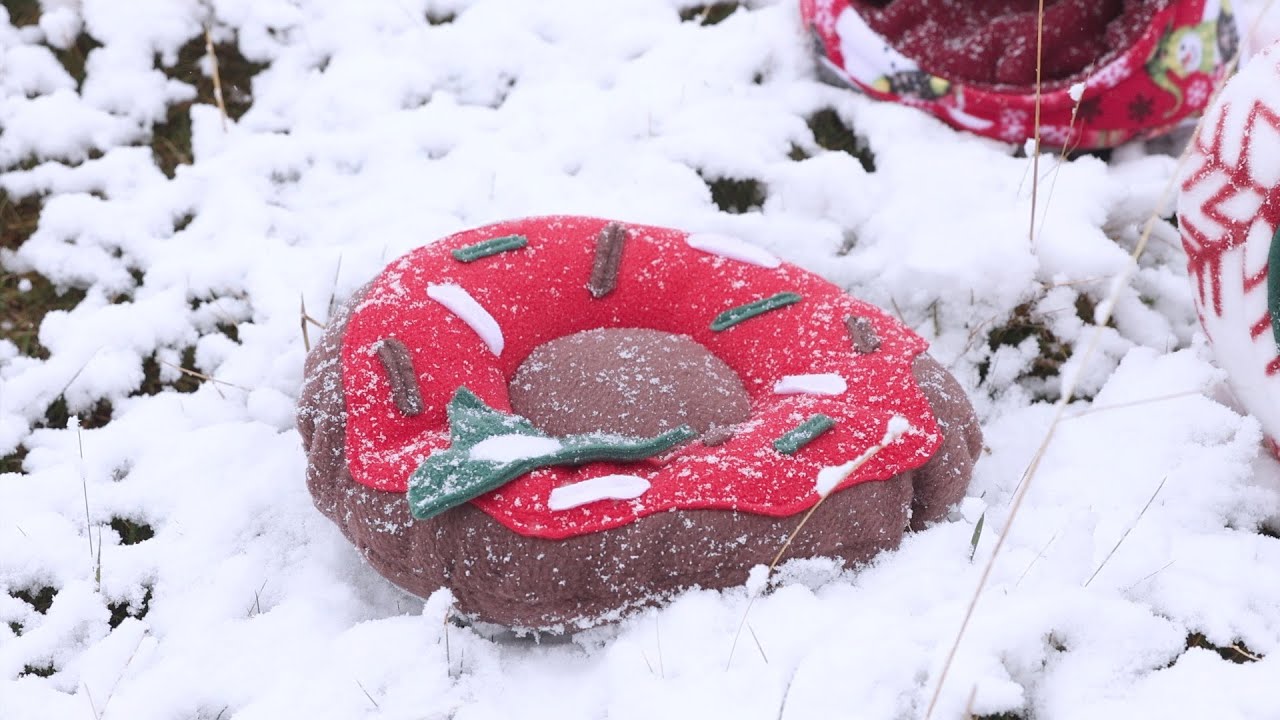 Weihnachtskollektion 2022-Kuschelsachen für Meerschweinchen