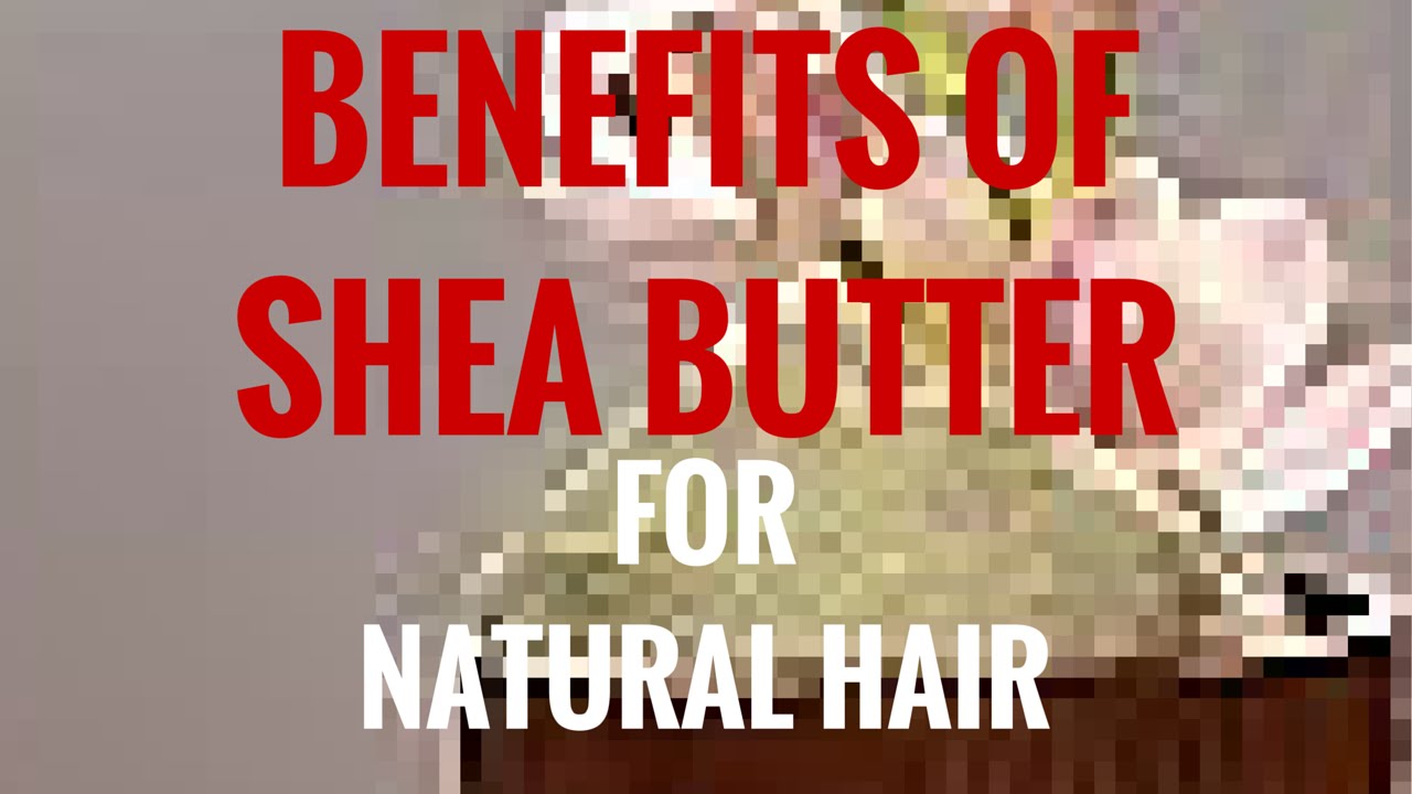 29 Shea Butter Benefits for Natural Hair YouTube