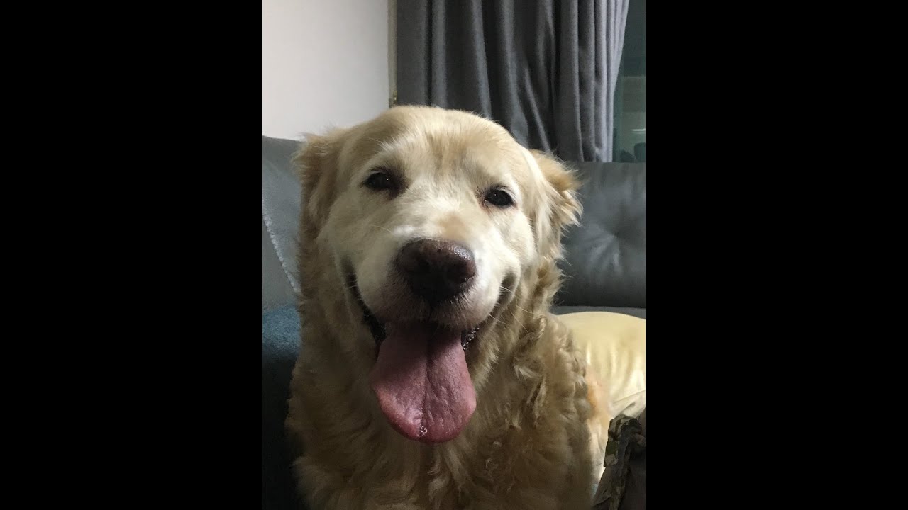 Ver heyden - let's play tug (Audio) en YouTube Ver heyden - let's play tug (Audio) en YouTube