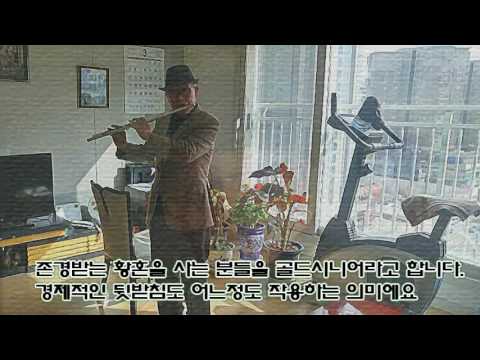 하얀나비