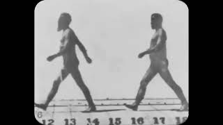 Athlete Walking 1 (1881)  Muybridge’s Motion Study  #ZigmannMovies