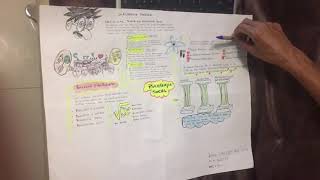 MAPA MENTAL PSICOLOGIA SOCIAL JORGE ALBERTO RIA