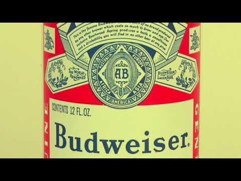 Austin Leone Cover (D.O.A) Drunk On Arrival Johnny Paycheck 