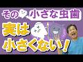 小さな虫歯…実は小さくない! 現役歯科医がわかりやすく解説!!