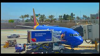Southwest Airlines 737-800 SAN-PHX Economy Class * New Cabins *