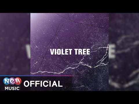 [ROCK] Violet Tree(바이올렛트리) - After
